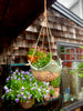 Seaside Hanging Planter