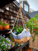 Seaside Hanging Planter