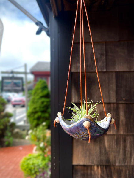 hanging air plants on wall Square Air Plant Hanger