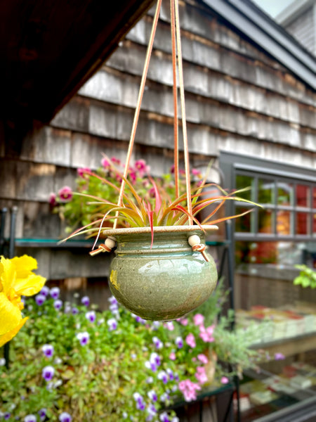 hanging flower planter ideas Hanging Planter
