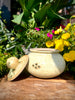 Onion Jar
