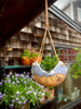 Seaside Hanging Planter