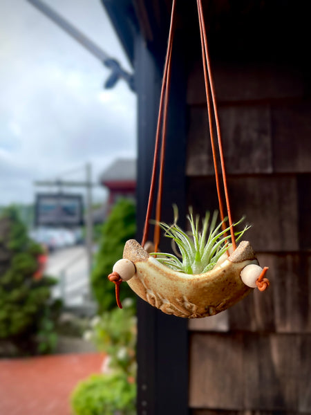 wooden hanging plant holder Square Air Plant Hanger