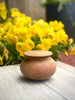 Lidded Pot - Small