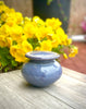Lidded Pot - Small