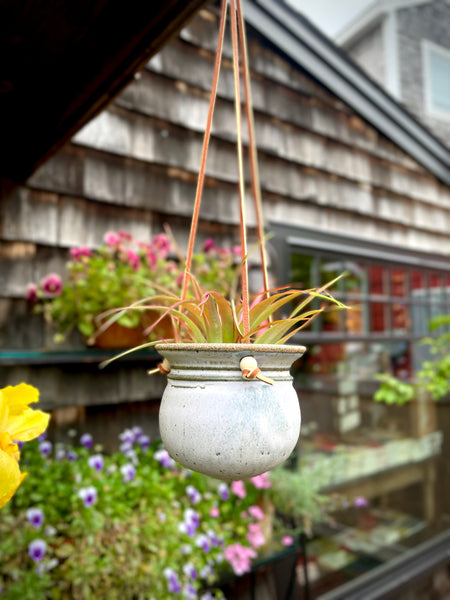 hanging house plant pots Hanging Planter