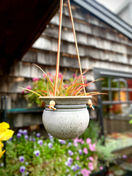 pottery barn hanging planter Hanging Planter