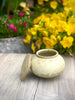 Lidded Pot - Medium