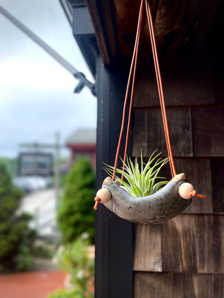 Square Air Plant Hanger