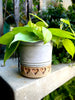 Imprinted Seaside Planter