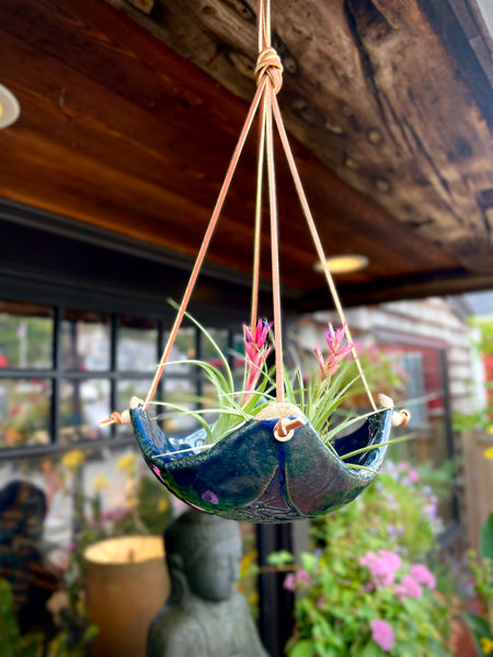 glass hanging pots for plants Square Air Plant Hanger