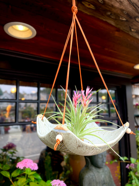 bird plant hanger Square Air Plant Hanger