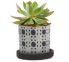 Balter Pot Collection