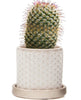 Balter Pot Collection