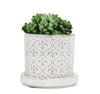 Balter Pot Collection