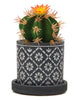 Balter Pot Collection