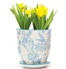 Big Liberte 3 Pot Collection