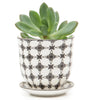 Small Liberte Pots