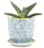 Small Liberte Pots