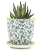 Small Liberte Pots