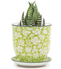 Small Liberte Pots