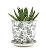 Small Liberte Pots