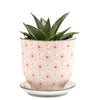 Small Liberte Pots