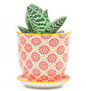 Small Liberte Pots