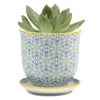 Small Liberte Pots