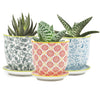 Small Liberte Pots