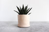 Round Planter w/ Plate Pinched (Five Colors)
