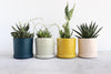 Round Planter w/ Plate Pinched (Five Colors)
