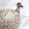 SAS Guinea Fowl, hen, pullet - colors and selection varies - reach out for the lasted availability.