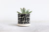 Round Planter w/ Plate Pinched (Five Colors)
