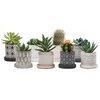 Balter Pot Collection
