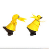 Rain Duck