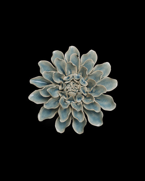 Ceramic Flower, Powder Blue Aphrodite Dahlia