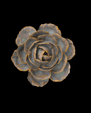 Ceramic Flower, Pale Blue English Rose