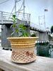 Seaside Planter