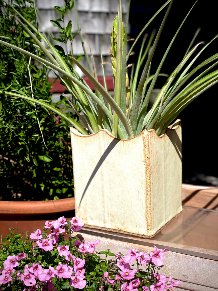 Square Wave Planter