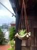 Square Air Plant Hanger - Mini