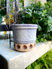 Imprinted Seaside Planter