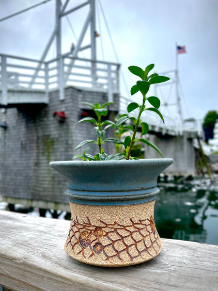 Seaside Planter