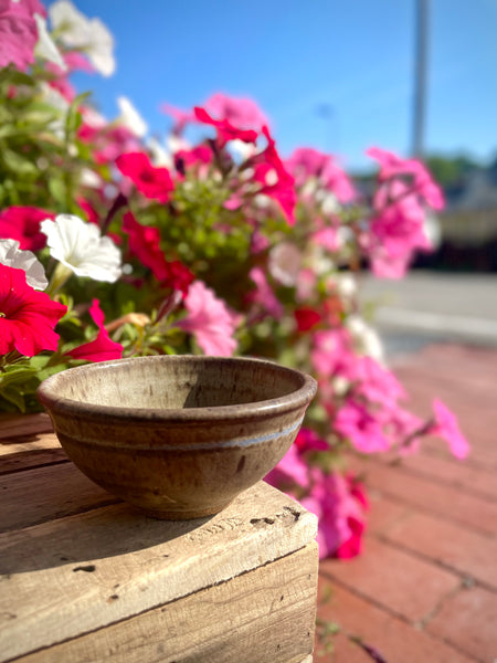 Shallow Bowl