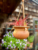 Hanging Planter - Bell Shaped