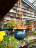 Hanging Planter - Bell Shaped