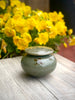 Lidded Pot - Small