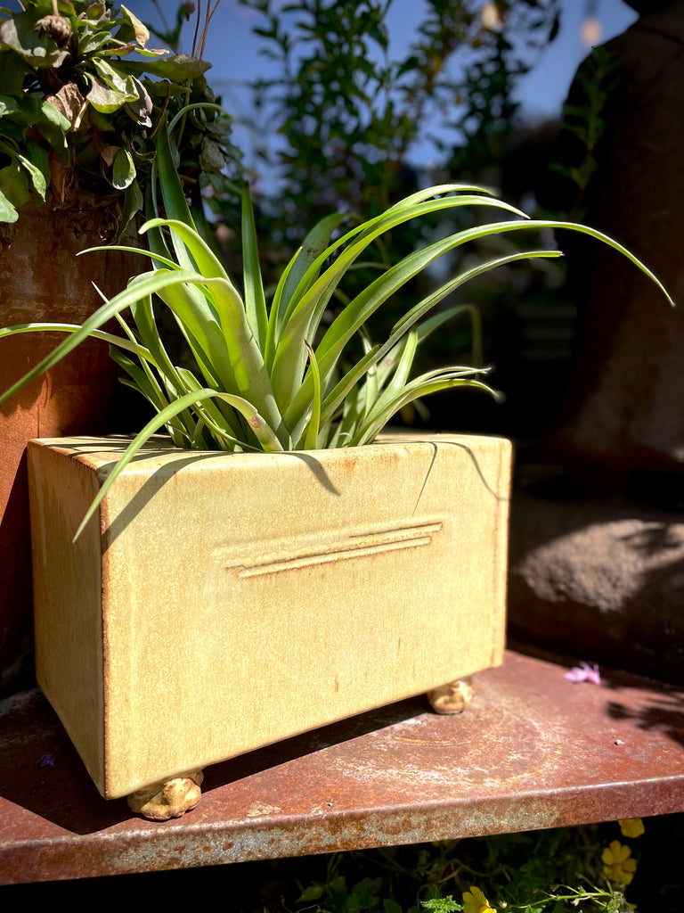 Square Ikebana Box