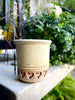 Imprinted Seaside Planter