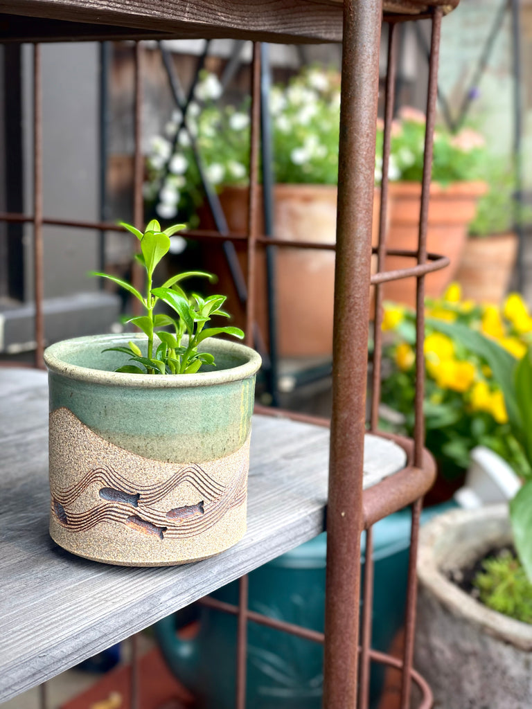 New Wave Planter